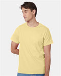 Daffodil Yellow