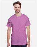 Heather Radiant Orchid